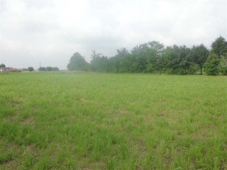 Terreno agricolo in Vendita a Nove, 60'000€, 6430 m²