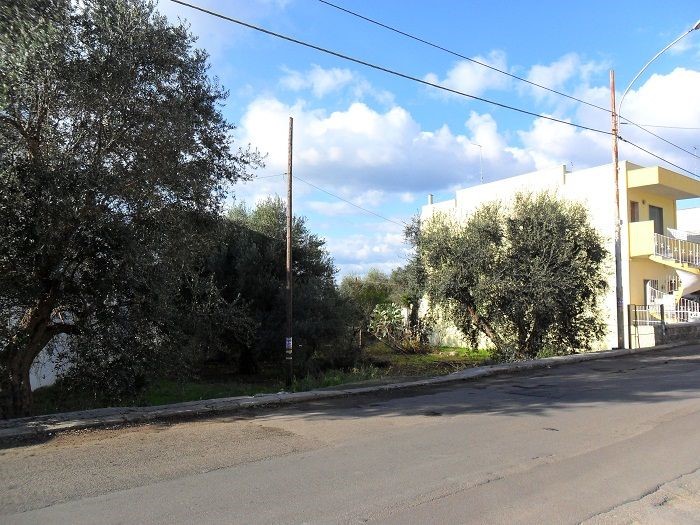 Terreno edificabile in Vendita a Sannicola, 65'000€, 2500 m²