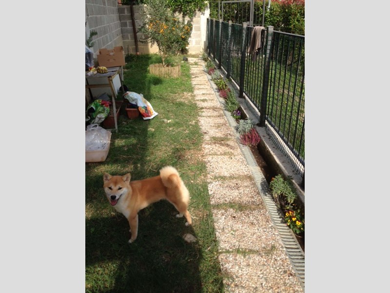 Bilocale in Vendita a Arrone, 35'000€, 60 m²