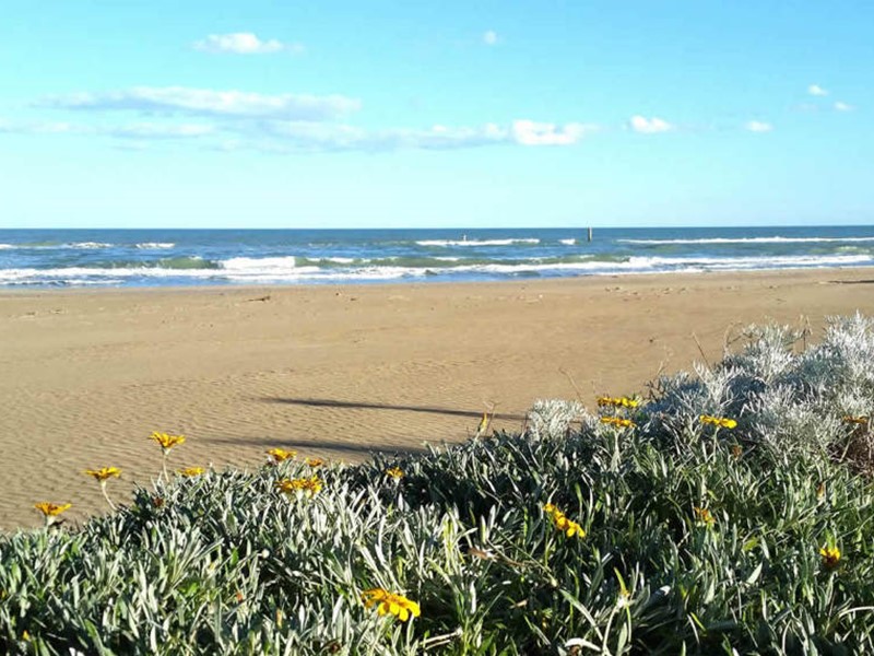 Terreno edificabile in Vendita a Martinsicuro, zona Villa Rosa, 4'500'000€, 46300 m²