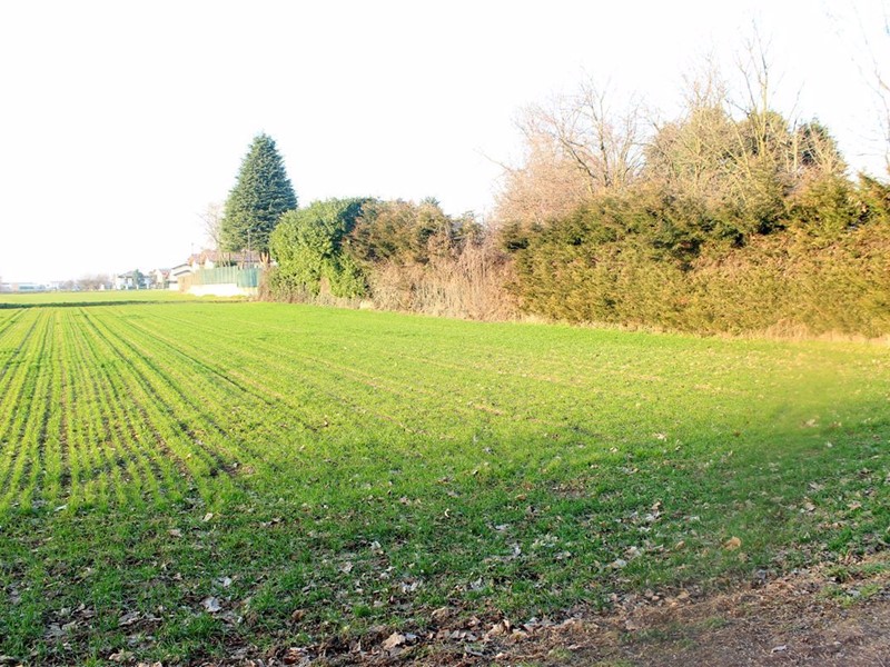 Terreno edificabile in Vendita a Cuggiono, 140'000€, 2200 m²