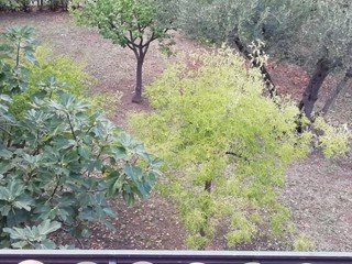 Casa Indipendente in Vendita a Lanciano, 400 m², con Box