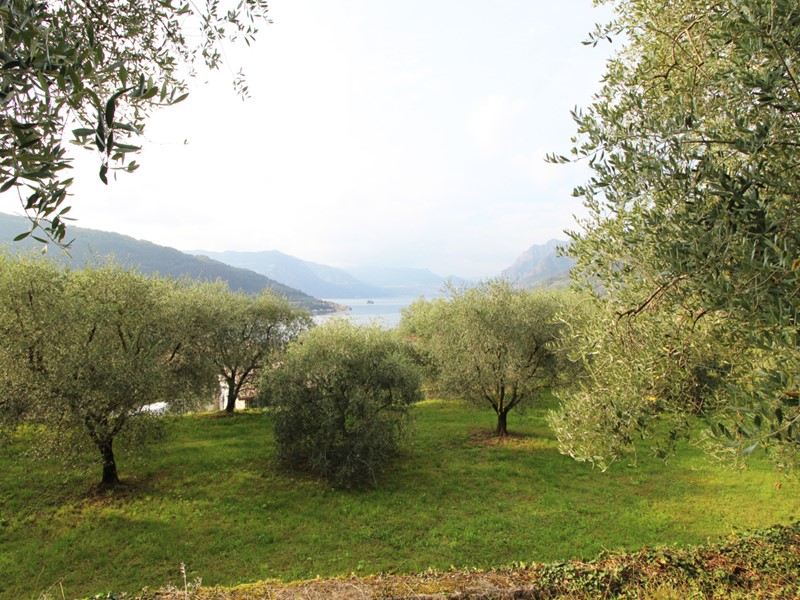 Terreno edificabile in Vendita a Sale Marasino, 550'000€, 