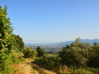 Casa Indipendente in Vendita a Capannori, 4500 m², con Box