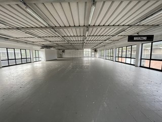 Capannone in Vendita a Lucca, 800'000€, 1000 m²