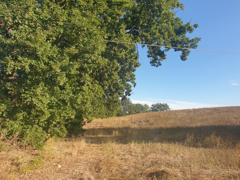 Terreno agricolo in Vendita a Lugnano in Teverina, 45'000€, 25000 m²