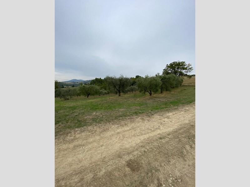 Terreno agricolo in Vendita a Lugnano in Teverina, 11'000€, 8200 m²