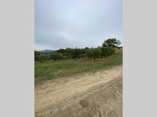 Terreno agricolo in Vendita a Lugnano in Teverina, 10'500€, 8200 m²