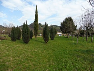 Terreno agricolo in Vendita a Marostica, 37'000€, 4225 m²