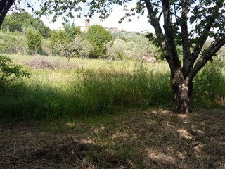 Terreno agricolo in Vendita a Buggiano, zona Stignano, 60'000€, 8700 m²