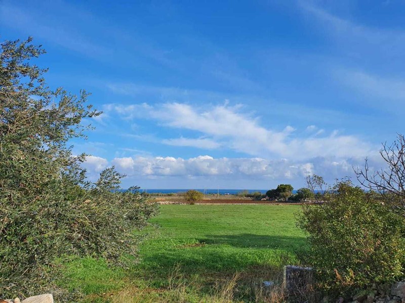 Terreno agricolo in Vendita a Polignano a Mare, 42'000€, 