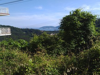 Terreno edificabile in Vendita a Vezzano Ligure, zona Valeriano, 60'000€, 500 m²