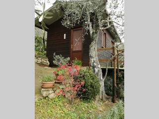 Terreno agricolo in Vendita a Camaiore, 65'000&euro;, 