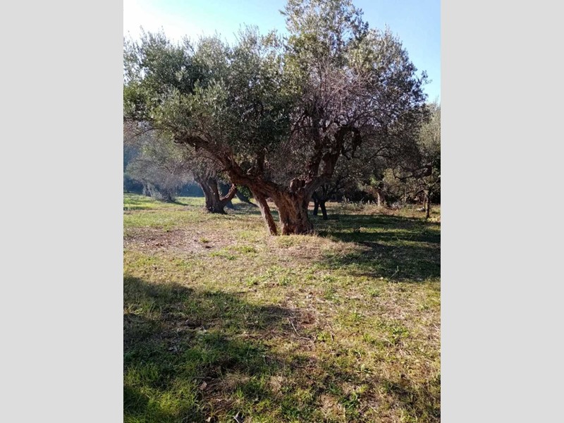 Casa Indipendente in Vendita a Rocca San Giovanni, 89'000€, 150 m²