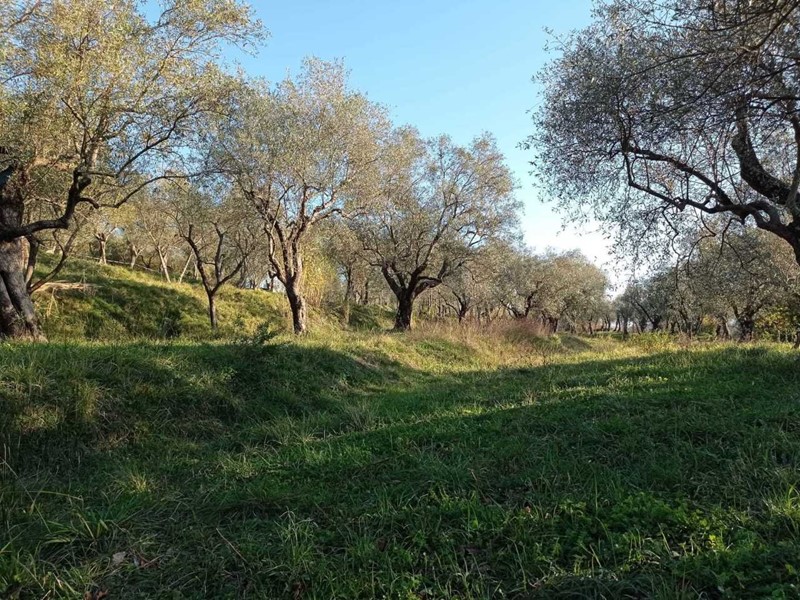 Terreno agricolo in Vendita a Castelnuovo Magra, 25'000€, 2375 m²