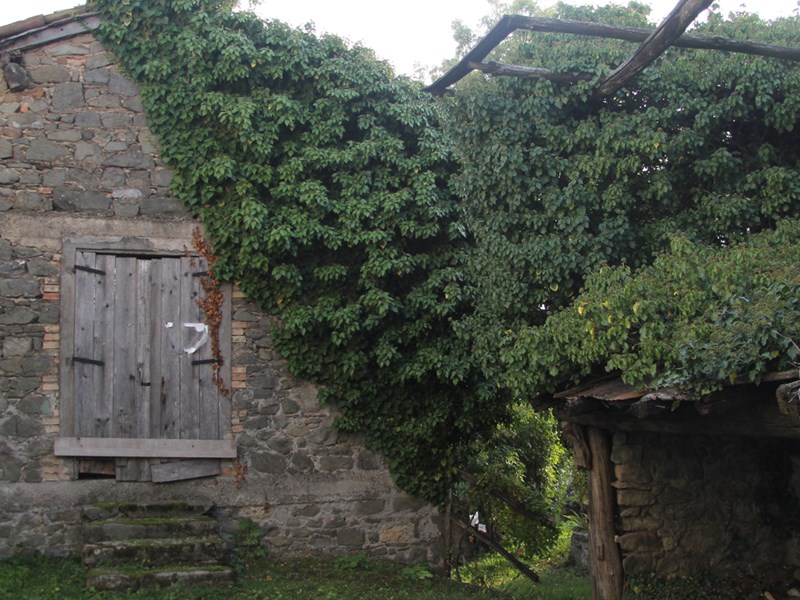 Rustico in Vendita a Ventasso, zona Busana, 30'000€