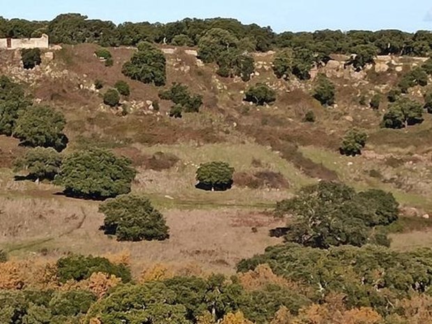 Terreno agricolo in Vendita a Nulvi, zona Agro, 400'000€, 780000 m²