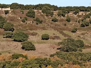 Terreno agricolo in Vendita a Nulvi, zona Agro, 400'000€, 780000 m²