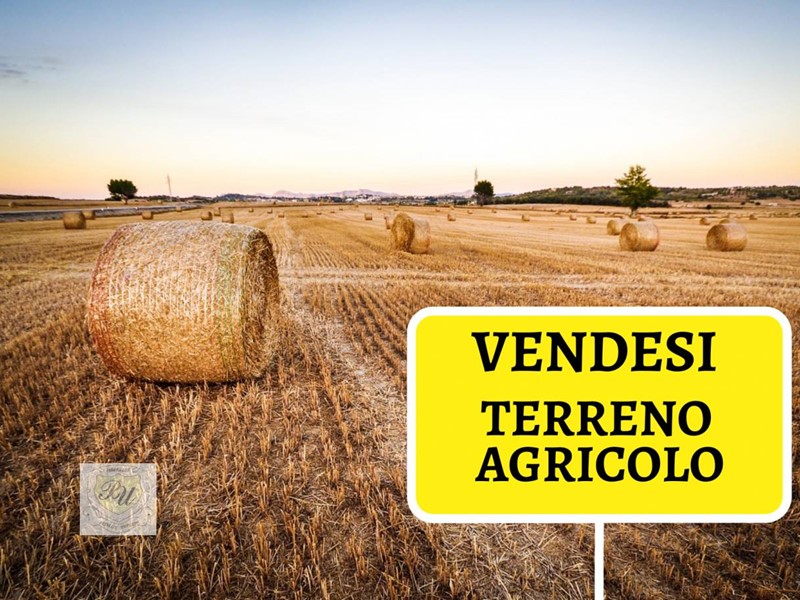 Terreno agricolo in Vendita a Premariacco, 10000 m²