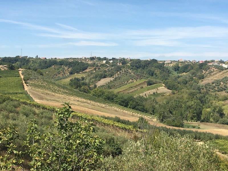 Bilocale in Vendita a Torrevecchia Teatina, 96'000€, 60 m²