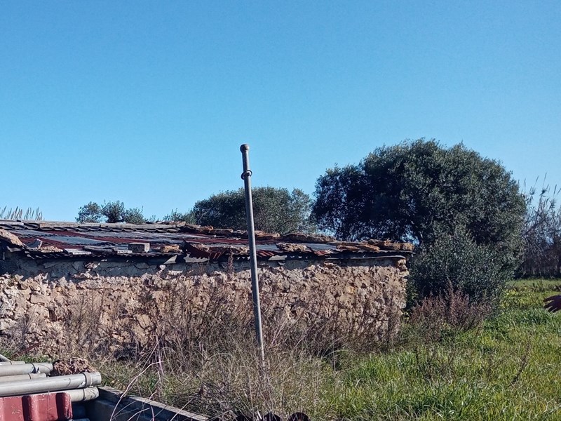 Rustico in Vendita a Alghero, zona Santa Maria La Palma, 25'000€, 60 m²