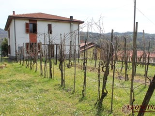 Villa in Vendita a Bagnone, zona collinare, 225'000€, 200 m², arredato