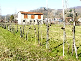 Casale in Vendita a Mulazzo, 130'000€