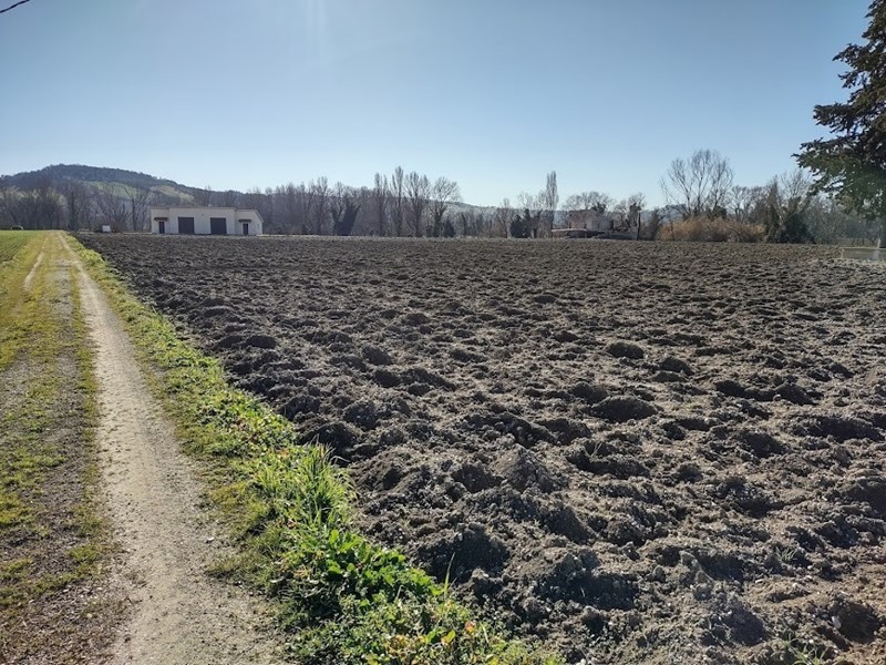 Terreno agricolo in Vendita a Jesi, 37000 m²