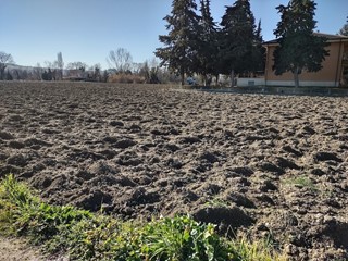 Terreno agricolo in Vendita a Jesi, 37000 m²