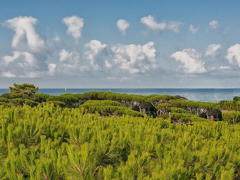 Attività commerciale in Vendita a Pietrasanta, zona Focette, 1'700'000€, 700 m²