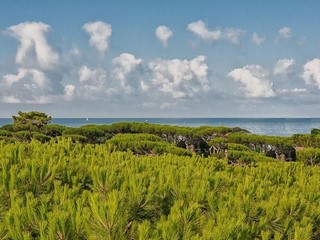 Attività commerciale in Vendita a Pietrasanta, zona Focette, 1'700'000€, 700 m²