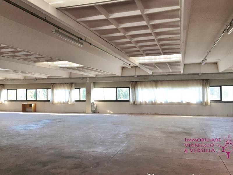 Capannone in Vendita a Camaiore, zona Capezzano, 