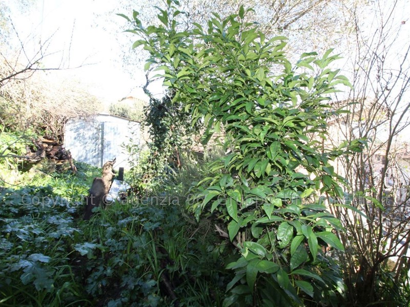 Casa Indipendente in Vendita a Ameglia, 190'000&euro;, 187 m²