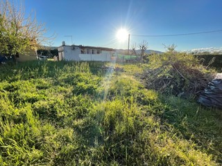 Terreno agricolo in Vendita a Castelnuovo Magra, zona Castelnuovo Magra, 26'000€, 1000 m²