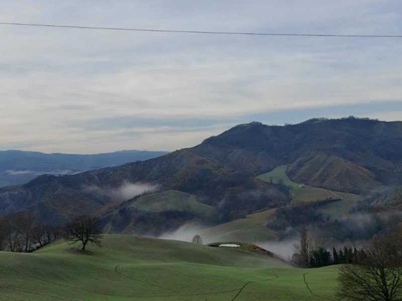 Villa in Vendita a Castel San Pietro Terme, zona COLLINARE, 480 m²