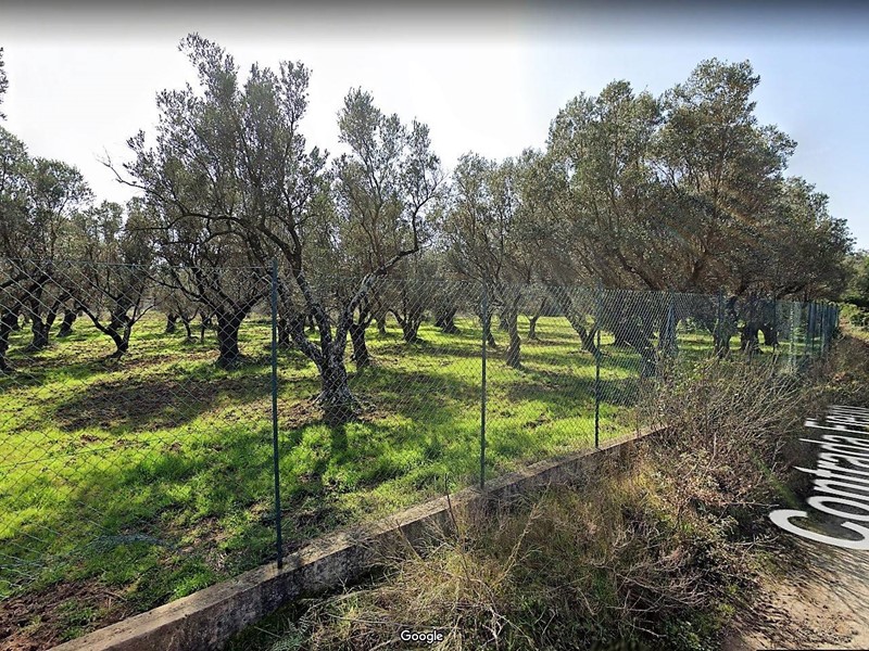 Terreno agricolo in Vendita a Borgia, zona Roccelletta, 20'000€, 4760 m²