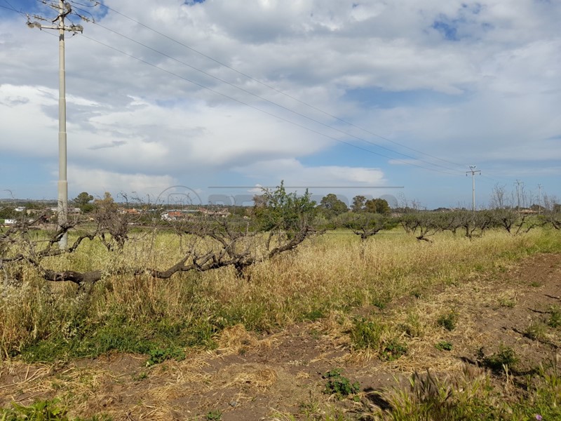 Terreno agricolo in Vendita a Ladispoli, 55'000€, 20000 m²