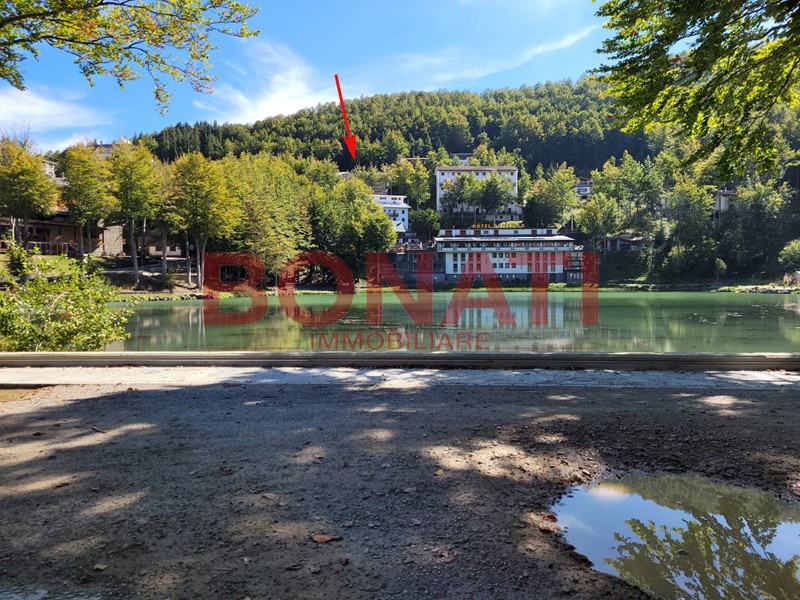 Trilocale in Vendita a Ventasso, zona Collagna, 85'000€, 57 m², arredato