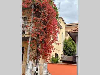 Appartamento in Vendita a Aprilia, zona Aprilia nord, 198'000€, 90 m²