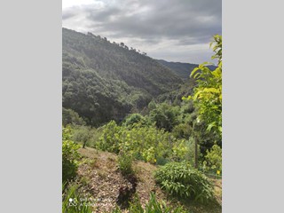 Casa Indipendente in Vendita a Dolceacqua, 510'000€, 180 m²