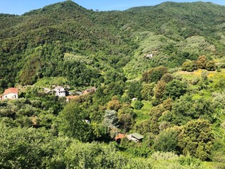 Terreno agricolo in Vendita a Leivi, 50'000€, 
