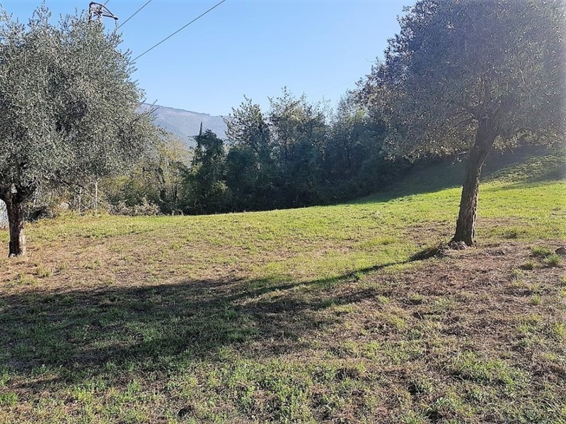 Terreno agricolo in Vendita a Lucca, zona Marlia, 25'000€, 1200 m²