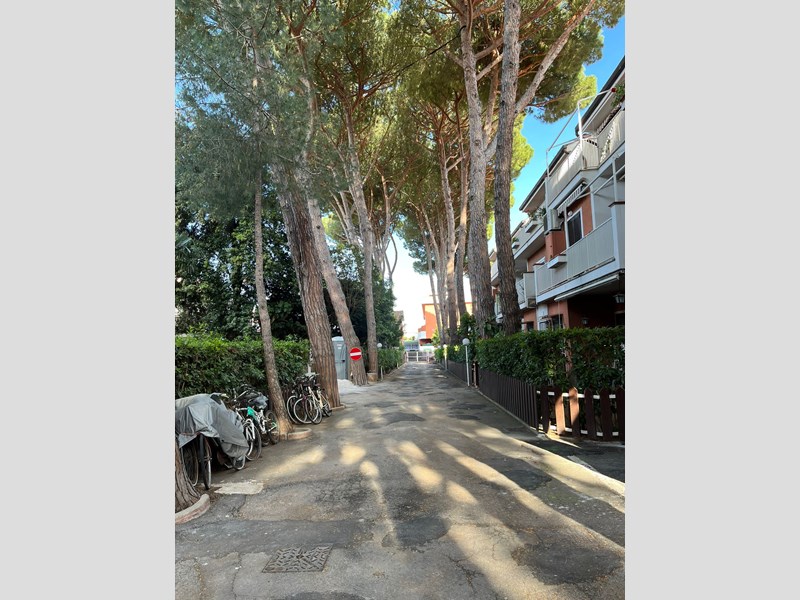 Trilocale in Affitto a San Felice Circeo, 1'000€, 52 m², arredato