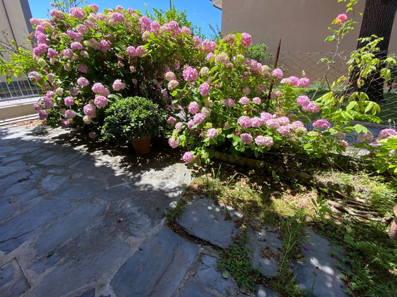 Quadrilocale in Affitto a Seravezza, zona Ripa, 1'800€, 70 m², arredato