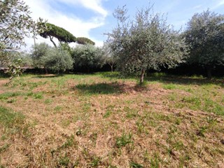 Terreno agricolo in Vendita a Luni, 40'000€, 860 m²