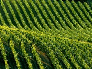 Cascina in Vendita a Stradella, 4'000'000€