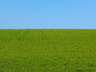 Terreno agricolo in Vendita a Stradella, 190'000€, 80000 m²