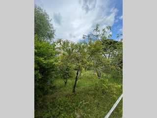 Terreno agricolo in Vendita a Lucca, zona Sant'Anna, 30'000€, 291 m²