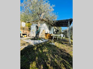 Casa Indipendente in Vendita a Pietrasanta, zona Capezzano Monte, 195'000€, 50 m², arredato