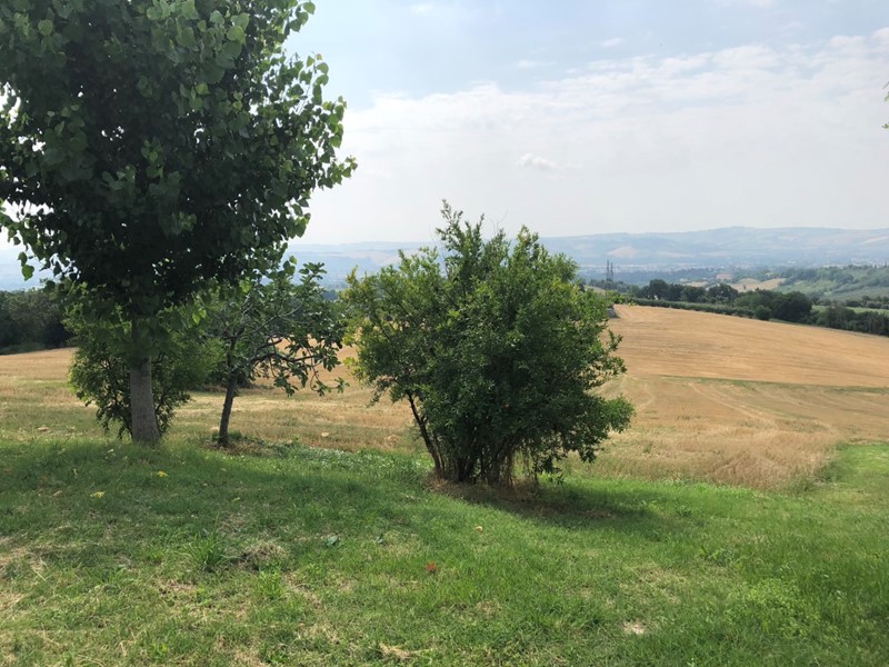 Terreno agricolo in Vendita a Jesi, zona ZONA 8, 120'000€, 